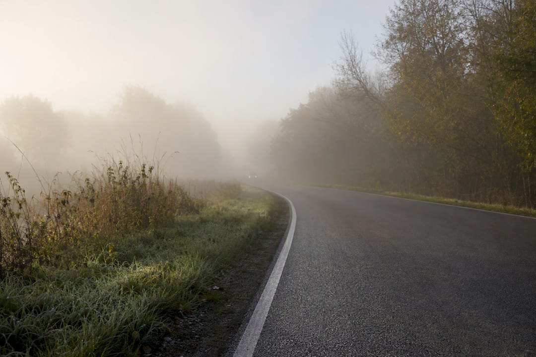 Ground fog settling beside a Lea Valley road